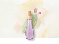 ÓLEOS FINALIZADORES Óleo Finalizador de Figo da Índia